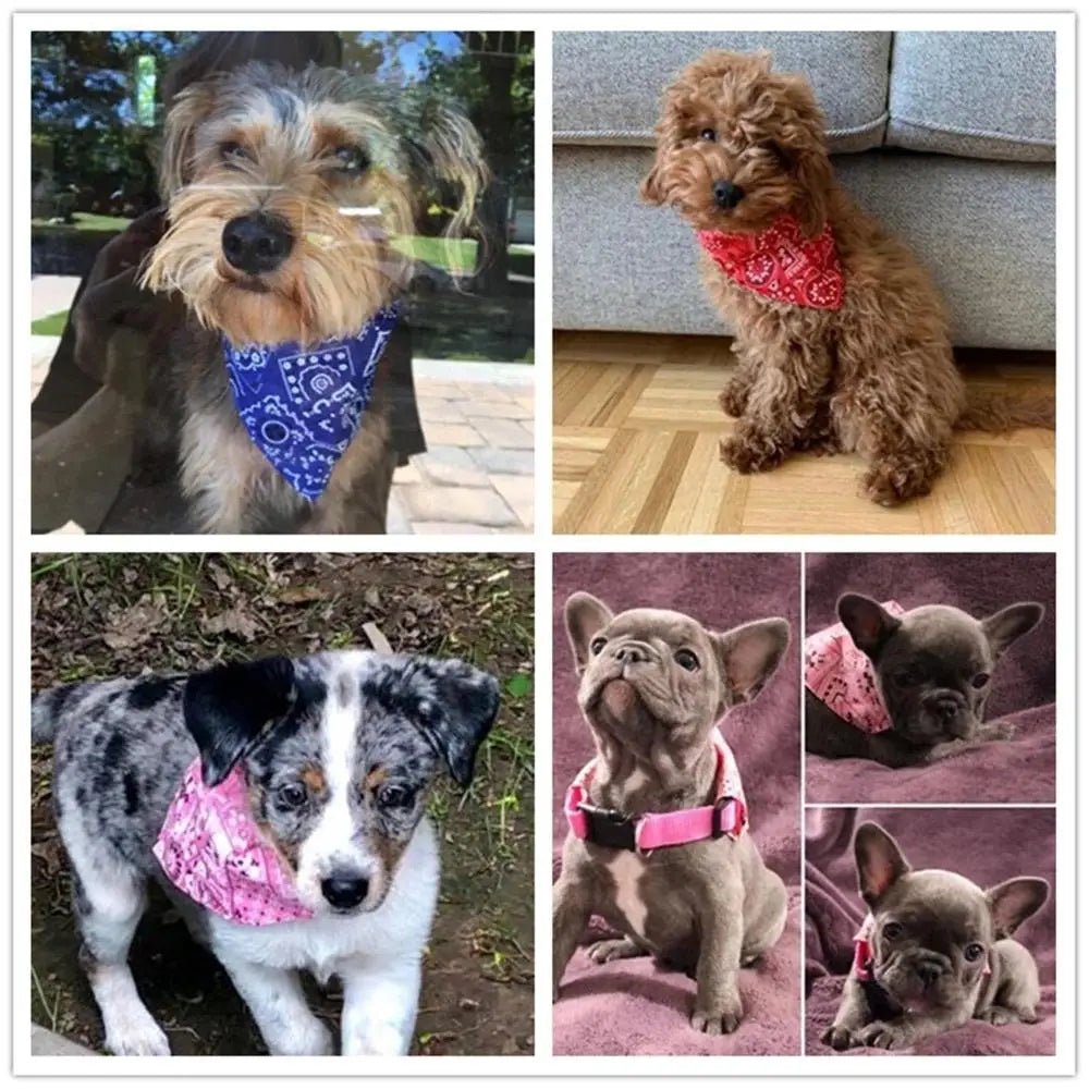 Plaid Dog Bandana Scarf – Adjustable Washable Pet Neck Accessory - Onlytenbucks.com