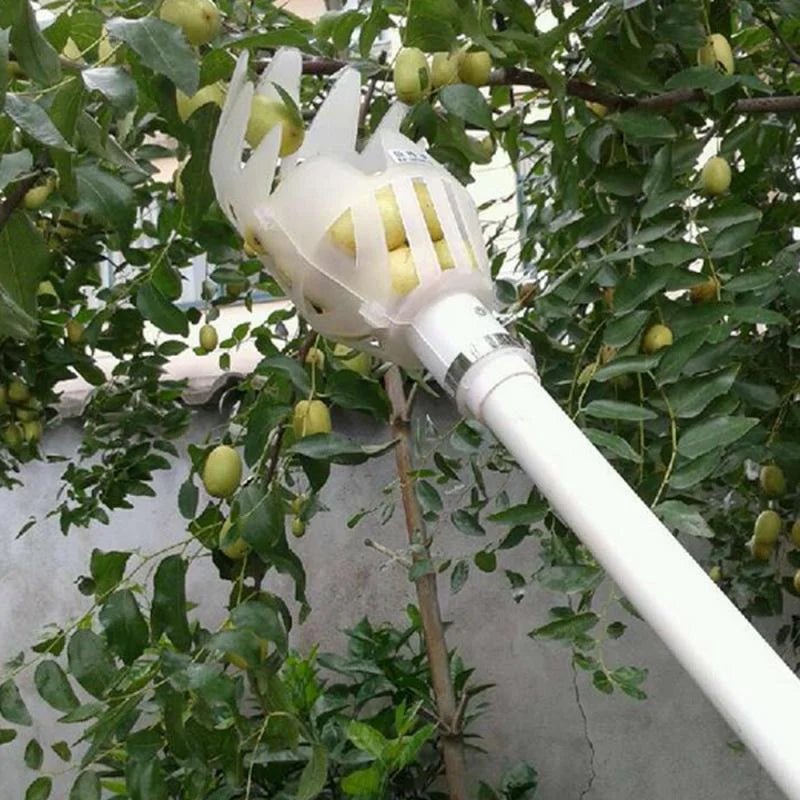 Plastic Fruit Picker Tool – Garden Harvesting - Onlytenbucks.com