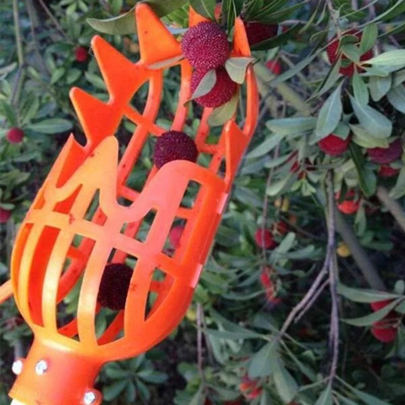 Plastic Fruit Picker Tool – Garden Harvesting - Onlytenbucks.com