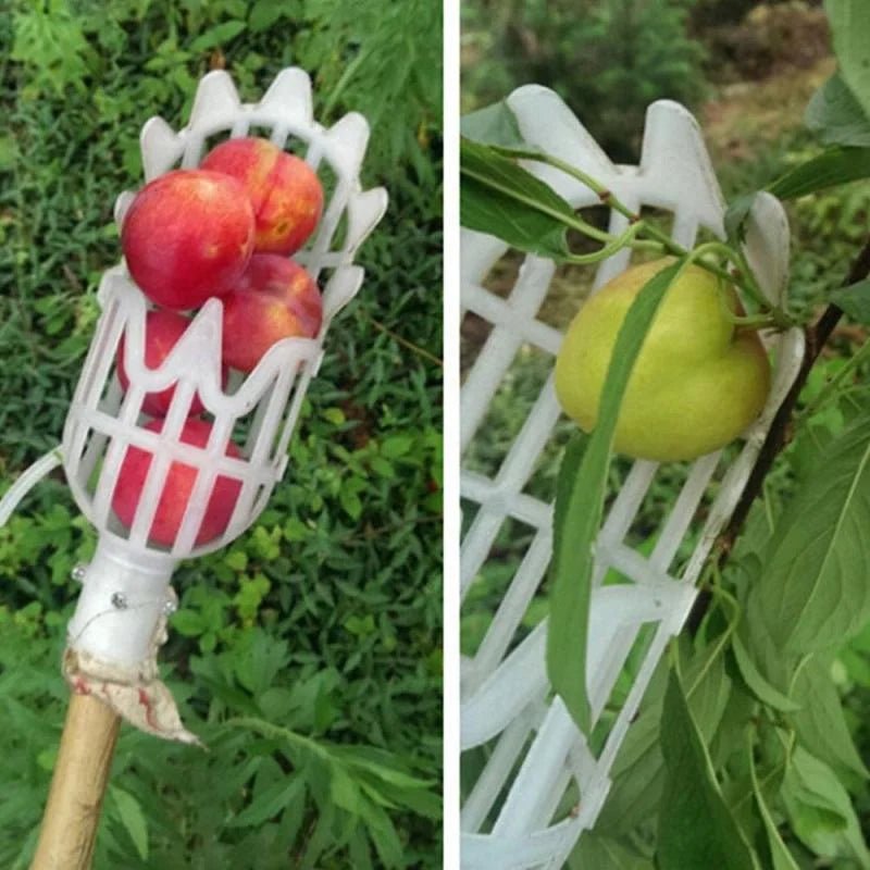 Plastic Fruit Picker Tool – Garden Harvesting - Onlytenbucks.com