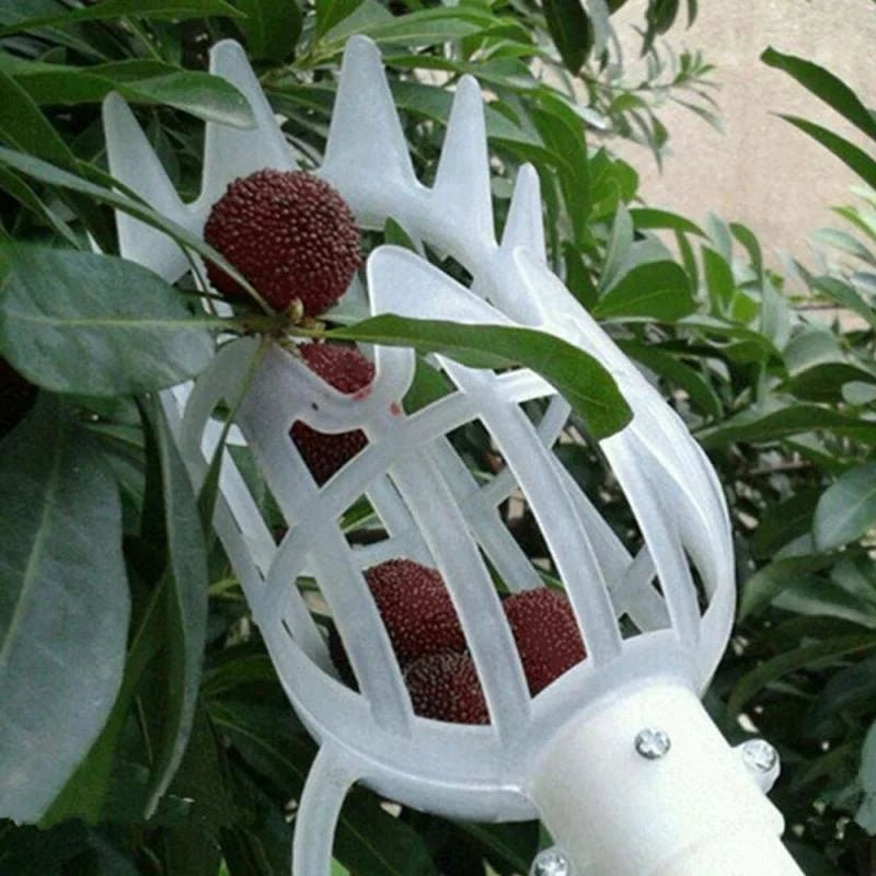 Plastic Fruit Picker Tool – Garden Harvesting - Onlytenbucks.com