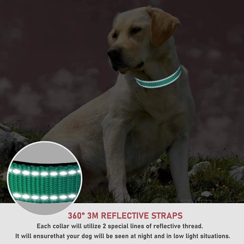 Reflective Nylon Dog Collar – Adjustable Safety Strap - Onlytenbucks.com