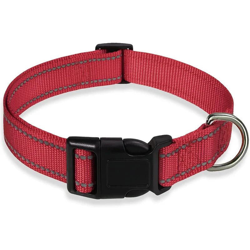 Reflective Nylon Dog Collar – Adjustable Safety Strap - Onlytenbucks.com