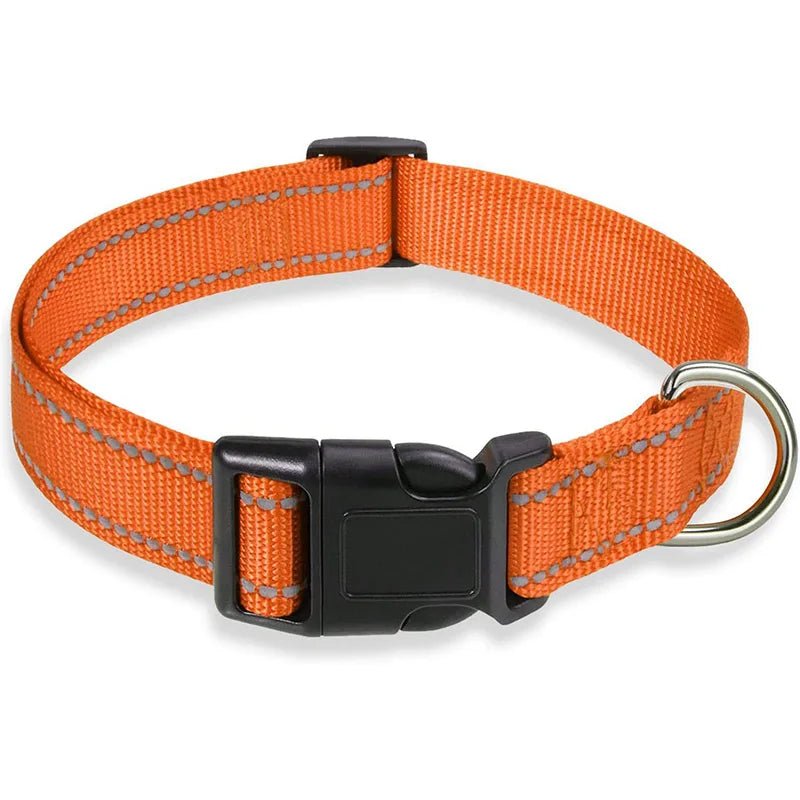Reflective Nylon Dog Collar – Adjustable Safety Strap - Onlytenbucks.com