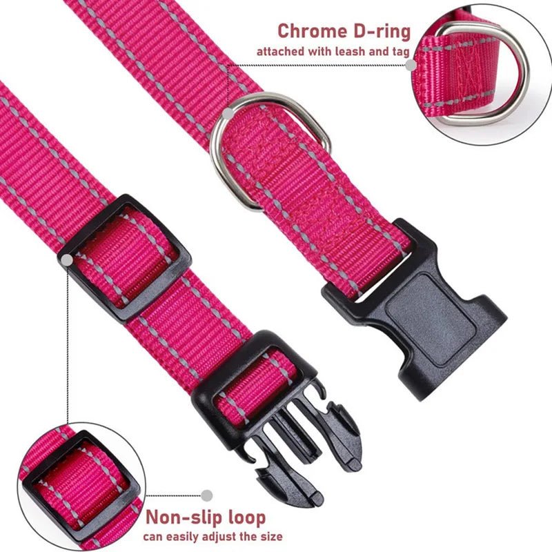 Reflective Nylon Dog Collar – Adjustable Safety Strap - Onlytenbucks.com