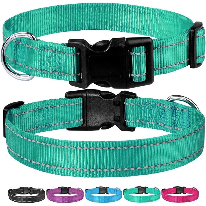 Reflective Nylon Dog Collar – Adjustable Safety Strap - Onlytenbucks.com