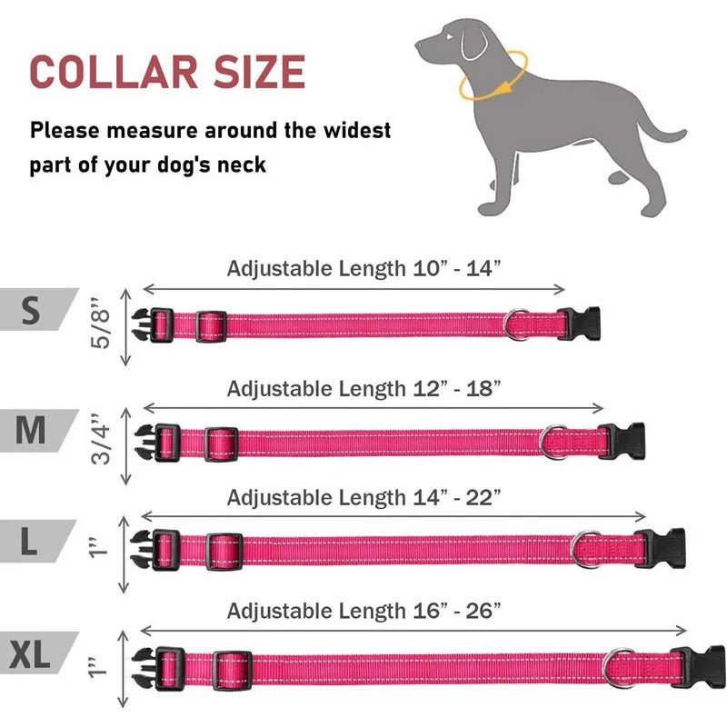 Reflective Nylon Dog Collar – Adjustable Safety Strap - Onlytenbucks.com