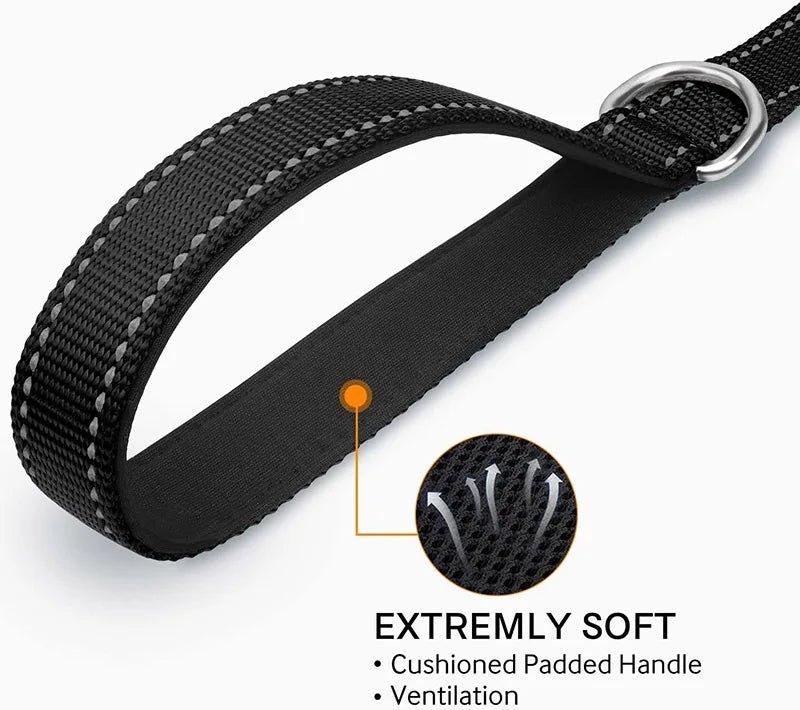 Reflective Pet Leash – Adjustable Polyester Lead Strap - Onlytenbucks.com