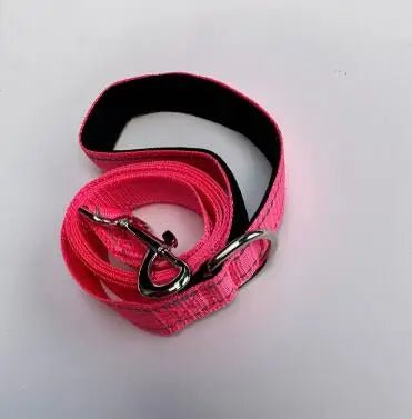 Reflective Pet Leash – Adjustable Polyester Lead Strap - Onlytenbucks.com