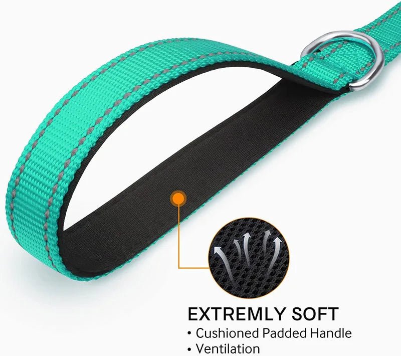 Reflective Pet Leash – Adjustable Polyester Lead Strap - Onlytenbucks.com