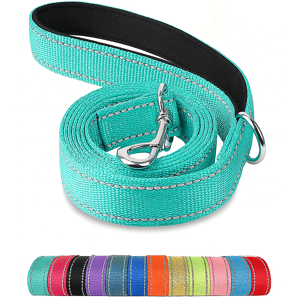 Reflective Pet Leash – Adjustable Polyester Lead Strap - Onlytenbucks.com