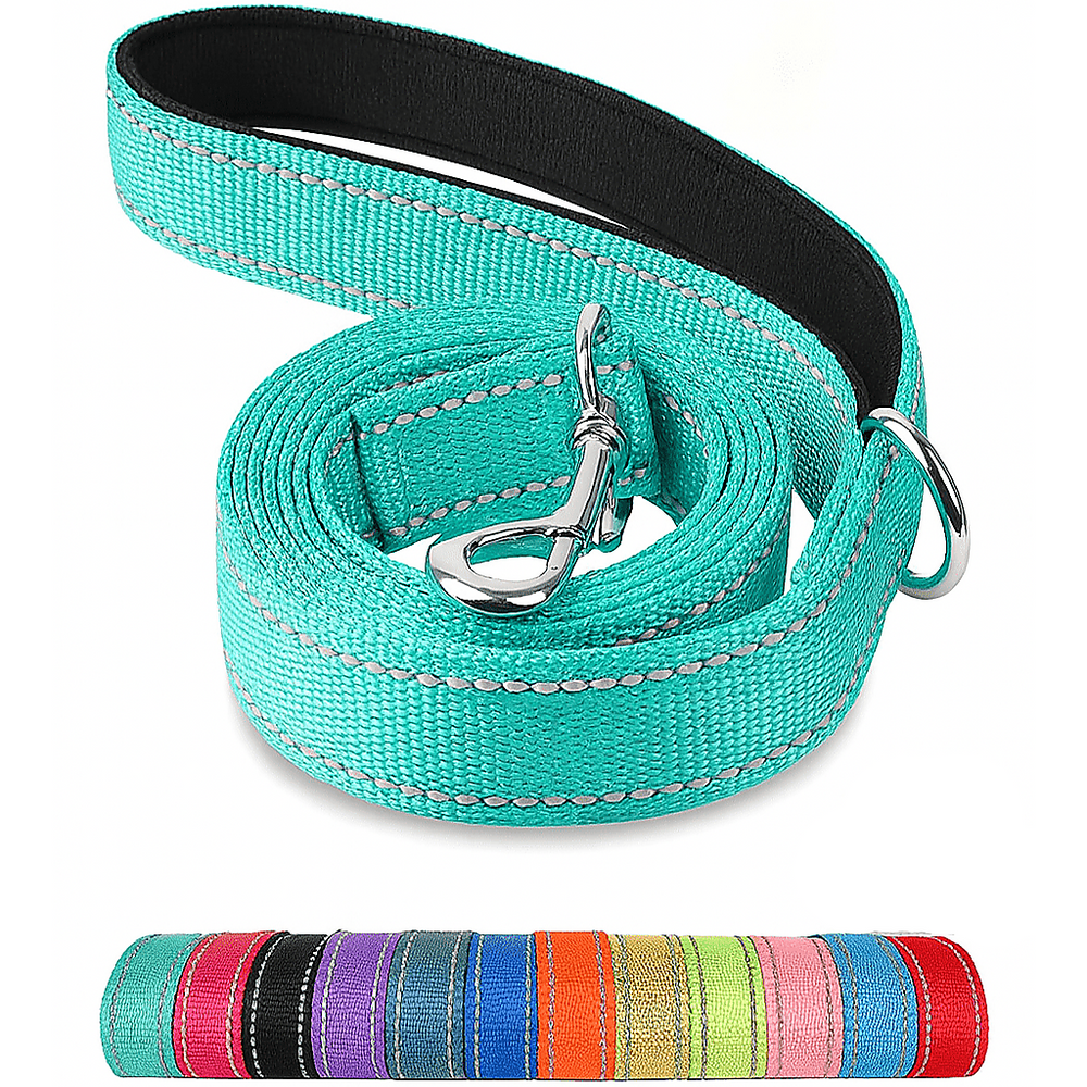 Reflective Pet Leash – Adjustable Polyester Lead Strap - Onlytenbucks.com