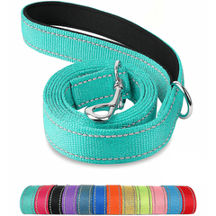 Reflective Pet Leash – Adjustable Polyester Lead Strap - Onlytenbucks.com