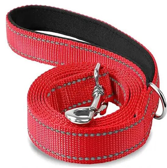 Reflective Pet Leash – Adjustable Polyester Lead Strap - Onlytenbucks.com