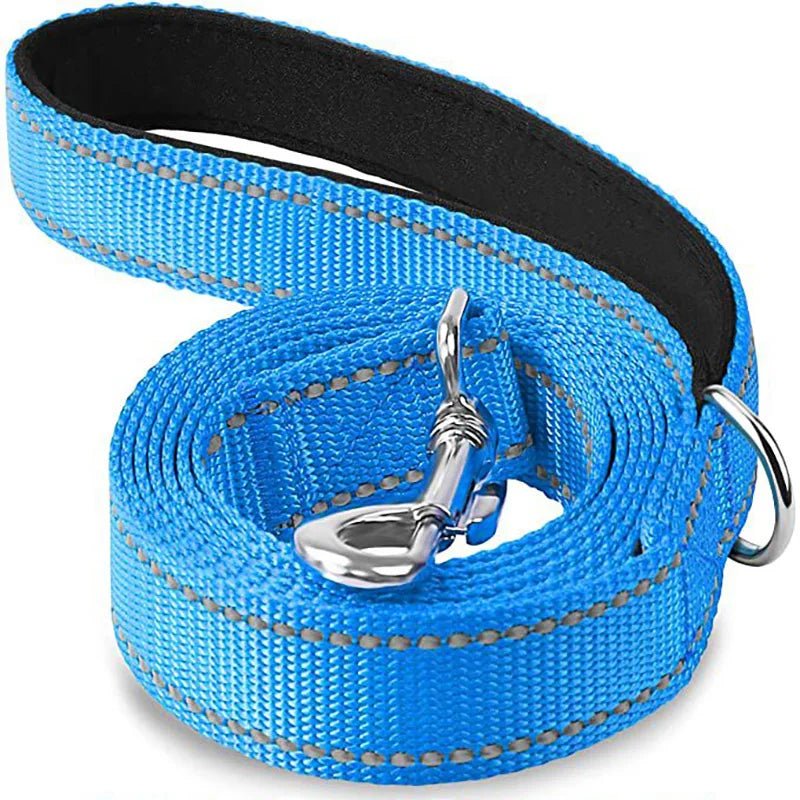 Reflective Pet Leash – Adjustable Polyester Lead Strap - Onlytenbucks.com