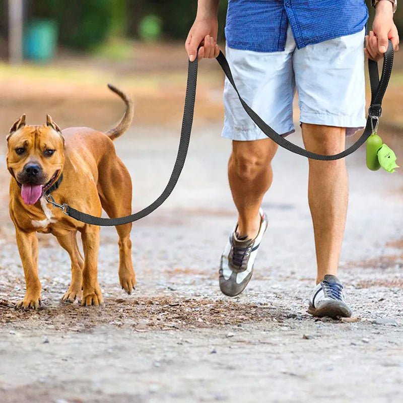 Reflective Pet Leash – Adjustable Polyester Lead Strap - Onlytenbucks.com