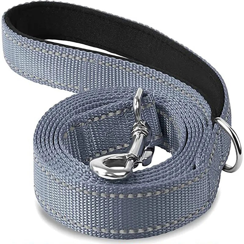 Reflective Pet Leash – Adjustable Polyester Lead Strap - Onlytenbucks.com
