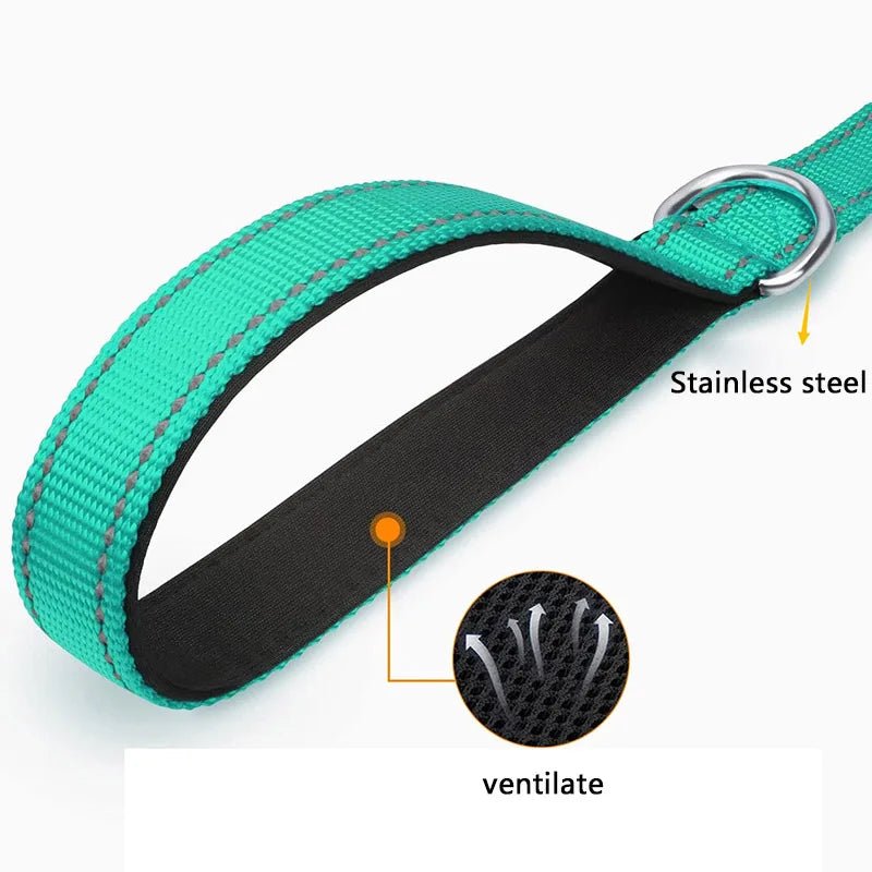 Reflective Pet Leash – Adjustable Polyester Lead Strap - Onlytenbucks.com
