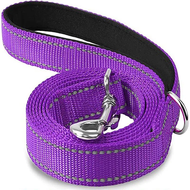 Reflective Pet Leash – Adjustable Polyester Lead Strap - Onlytenbucks.com