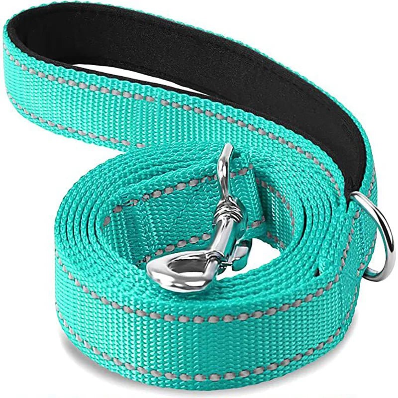 Reflective Pet Leash – Adjustable Polyester Lead Strap - Onlytenbucks.com