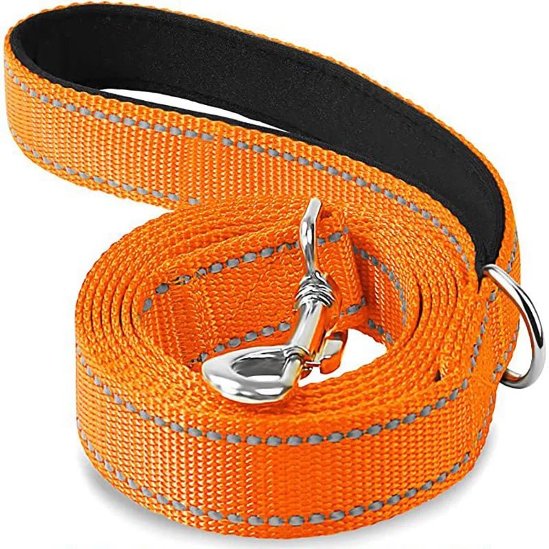 Reflective Pet Leash – Adjustable Polyester Lead Strap - Onlytenbucks.com