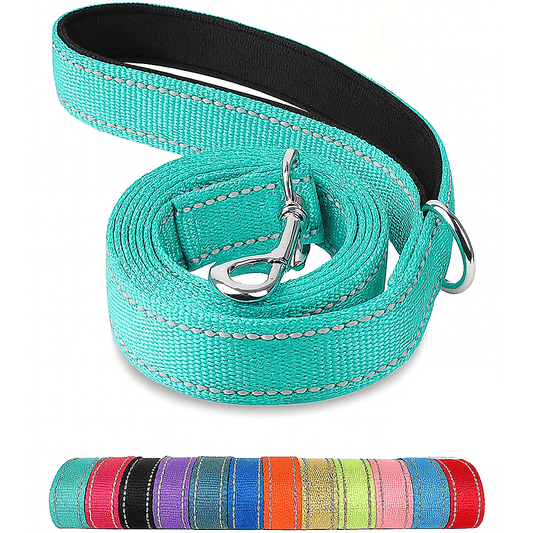 Reflective Pet Leash – Adjustable Polyester Lead Strap - Onlytenbucks.com
