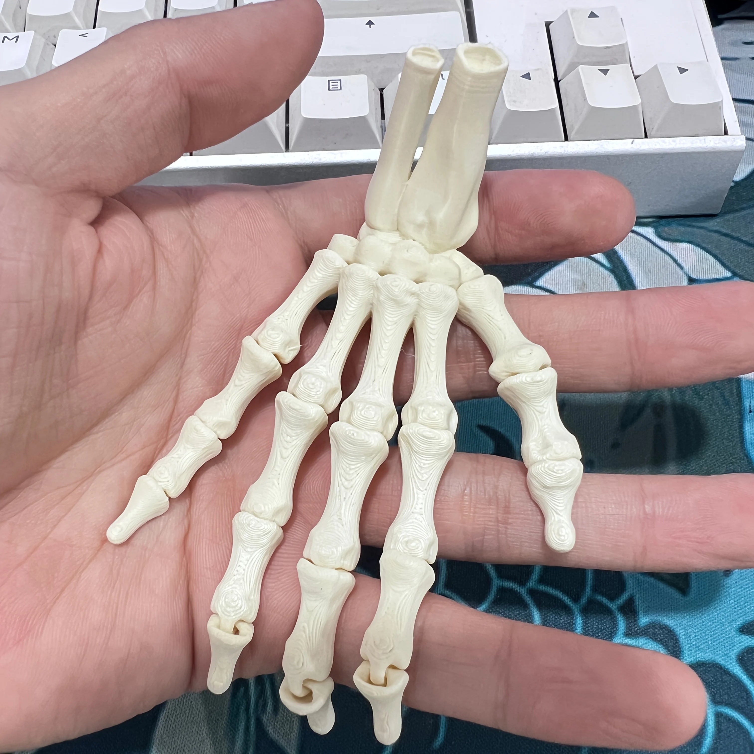 Scary Skull Skeleton Hands – Halloween Party Props - Onlytenbucks.com
