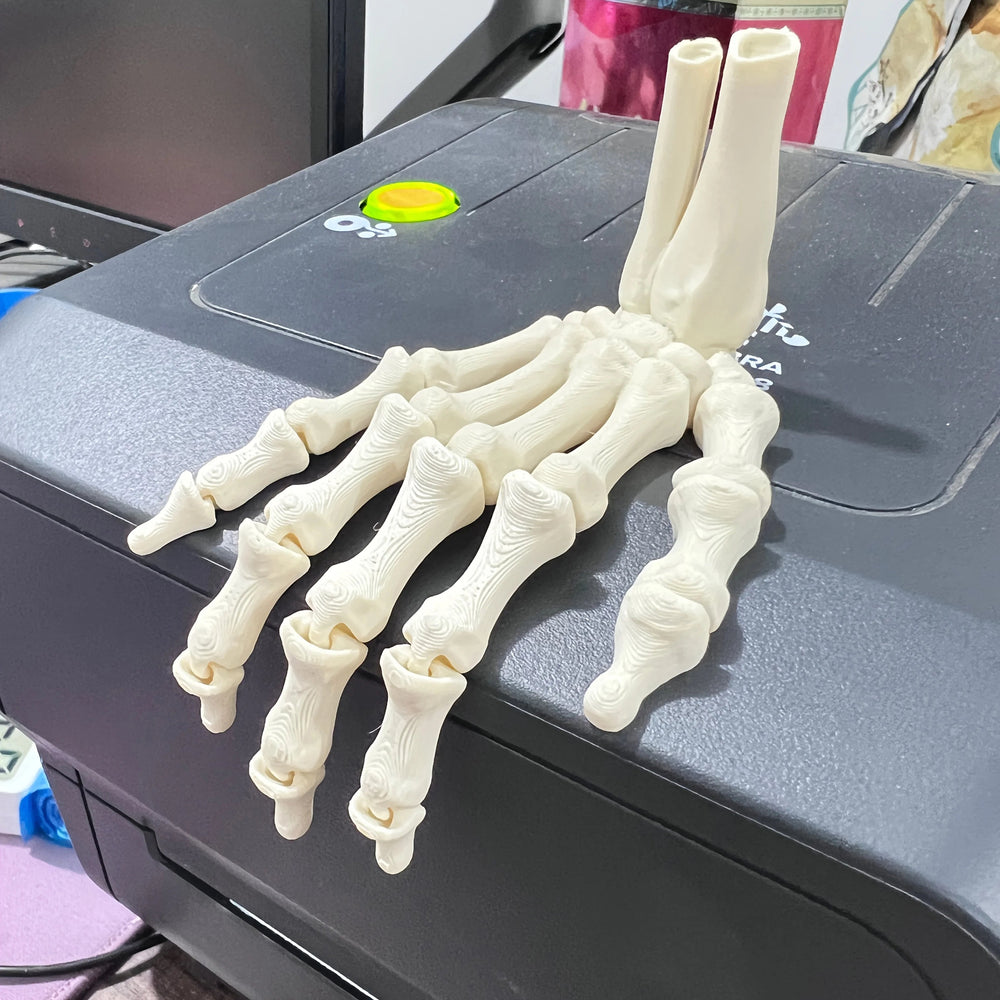 Scary Skull Skeleton Hands – Halloween Party Props - Onlytenbucks.com