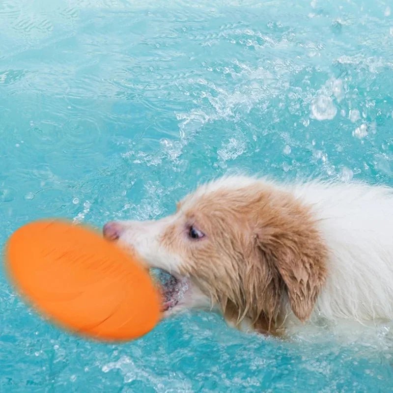 Silicone Dog Flying Disk Toy – Eco - Friendly Anti - Chew Frisbee - Onlytenbucks.com