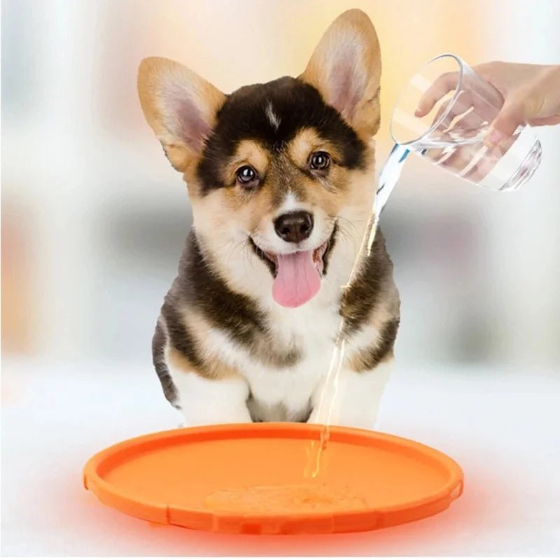 Silicone Dog Flying Disk Toy – Eco - Friendly Anti - Chew Frisbee - Onlytenbucks.com