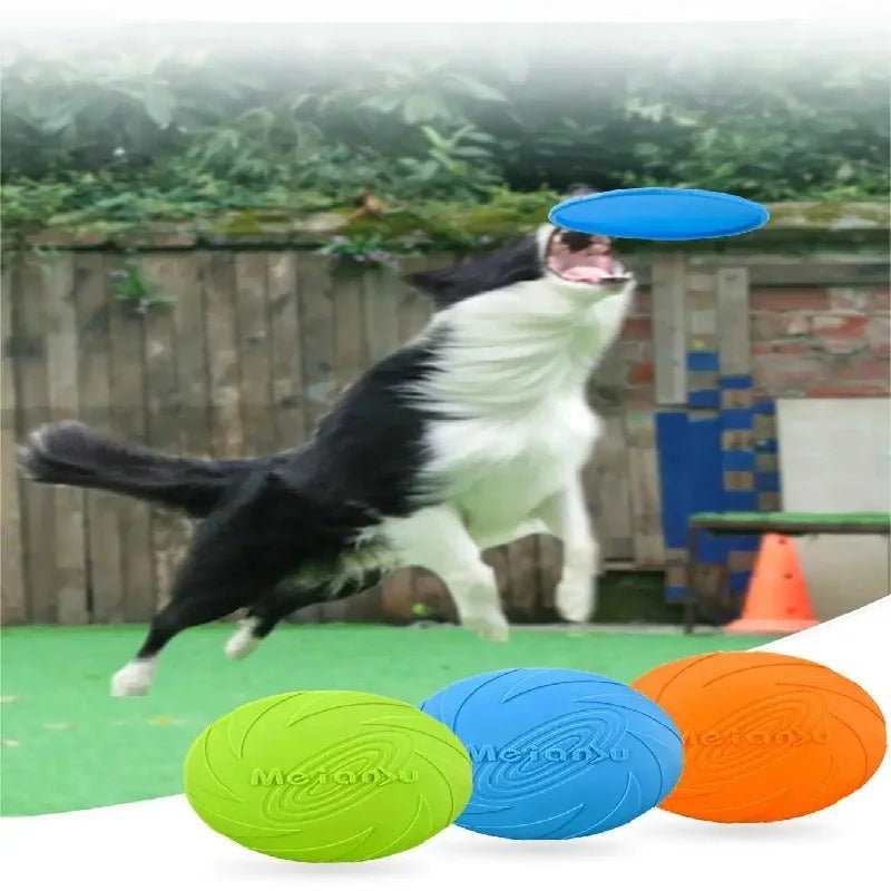Silicone Dog Flying Disk Toy – Eco - Friendly Anti - Chew Frisbee - Onlytenbucks.com