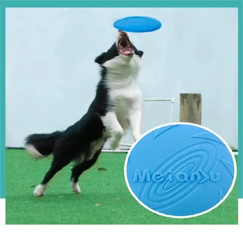 Silicone Dog Flying Disk Toy – Eco - Friendly Anti - Chew Frisbee - Onlytenbucks.com
