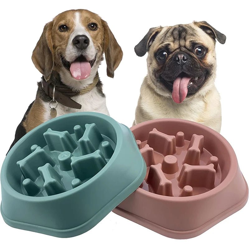 Slow Feeder Dog Bowl – Anti - Choking Puzzle Food Dish - Onlytenbucks.com