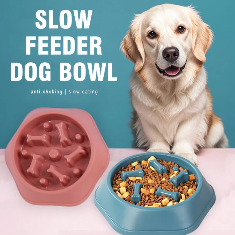 Slow Feeder Dog Bowl – Anti - Choking Puzzle Food Dish - Onlytenbucks.com