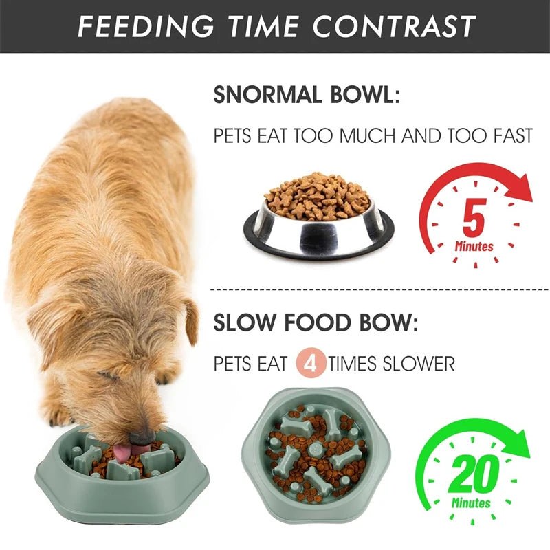 Slow Feeder Dog Bowl – Anti - Choking Puzzle Food Dish - Onlytenbucks.com