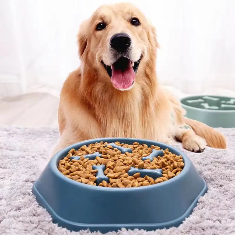 Slow Feeder Dog Bowl – Anti - Choking Puzzle Food Dish - Onlytenbucks.com