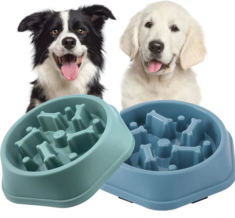Slow Feeder Dog Bowl – Anti - Choking Puzzle Food Dish - Onlytenbucks.com