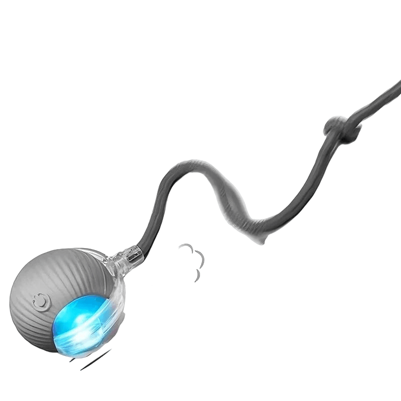 Smart Interactive Cat Ball – Automatic Rolling Rechargeable Toy - Onlytenbucks.com