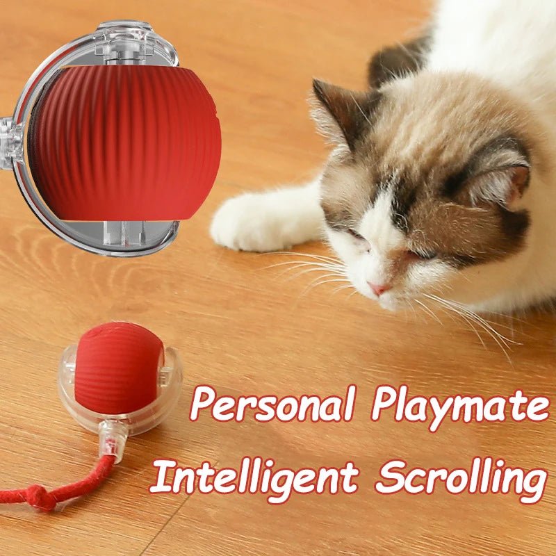 Smart Interactive Cat Ball – Automatic Rolling Rechargeable Toy - Onlytenbucks.com