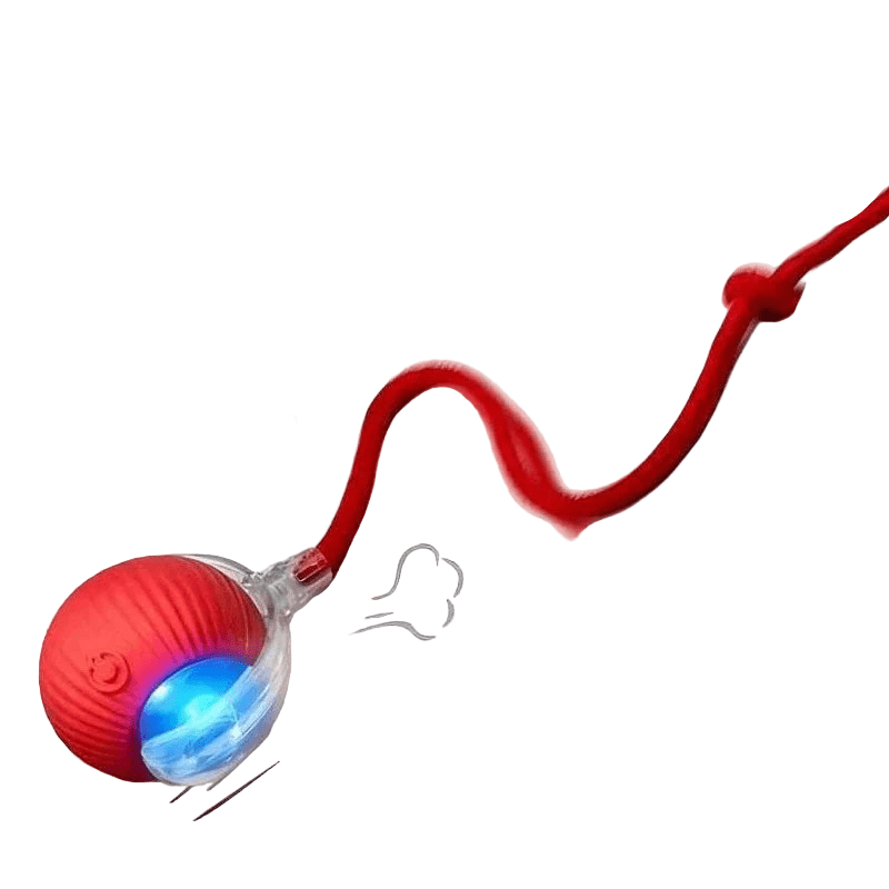 Smart Interactive Cat Ball – Automatic Rolling Rechargeable Toy - Onlytenbucks.com