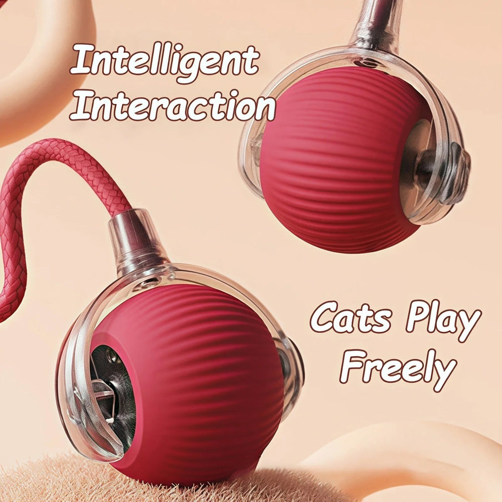Smart Interactive Cat Ball – Automatic Rolling Rechargeable Toy - Onlytenbucks.com