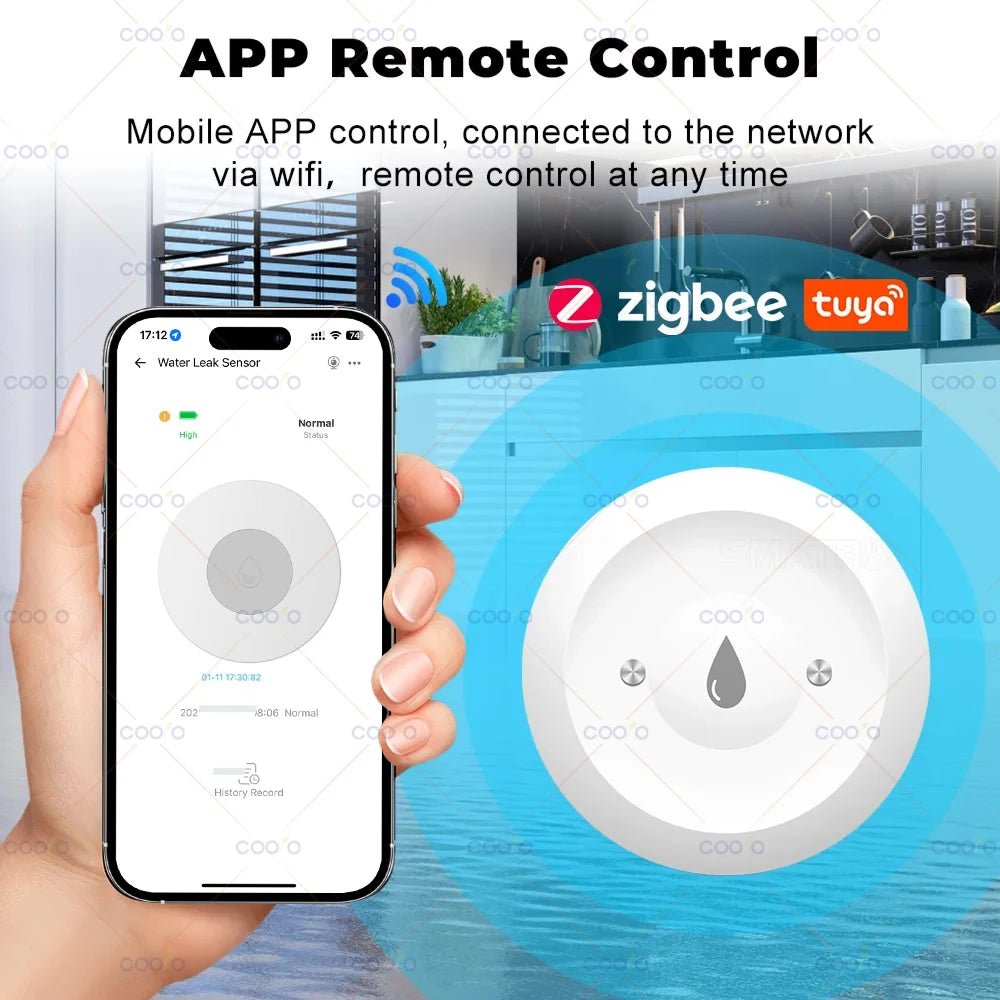 Smart Water Leak Sensor – Flood Detector with Remote Monitoring - Onlytenbucks.com