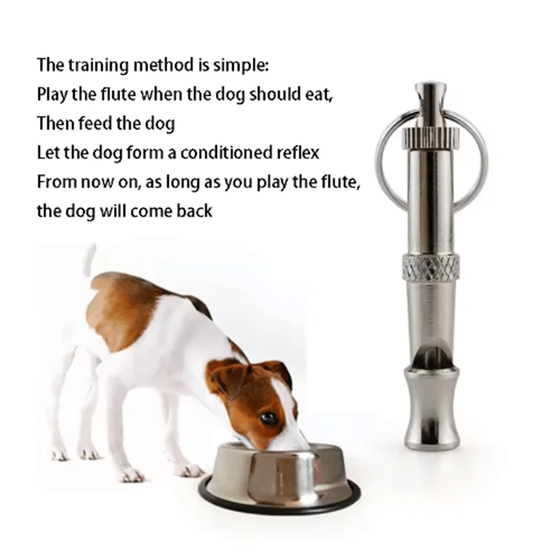 Stainless Steel Dog Training Whistle – Ultrasonic Adjustable - Onlytenbucks.com