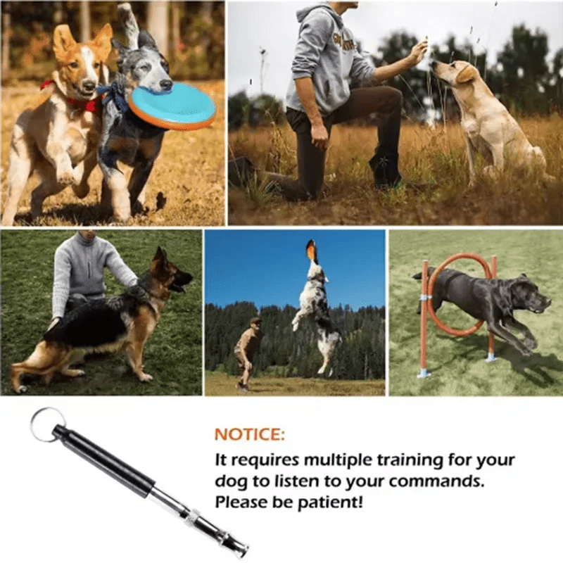 Stainless Steel Dog Training Whistle – Ultrasonic Adjustable - Onlytenbucks.com