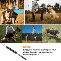 Stainless Steel Dog Training Whistle – Ultrasonic Adjustable - Onlytenbucks.com