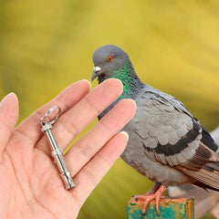 Stainless Steel Dog Training Whistle – Ultrasonic Adjustable - Onlytenbucks.com