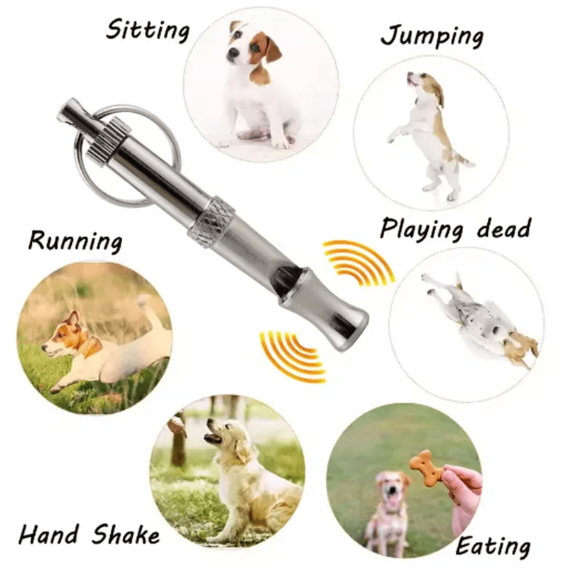 Stainless Steel Dog Training Whistle – Ultrasonic Adjustable - Onlytenbucks.com
