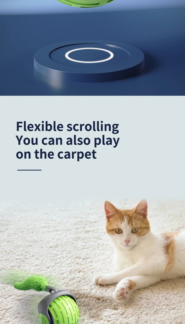 USB Rechargeable Interactive Electric Cat Toy Ball - Onlytenbucks.com